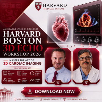Harvard Boston 3D Echo Workshop 2026